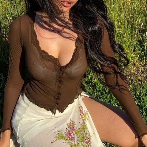 Brown Lace Patched Mesh See Through