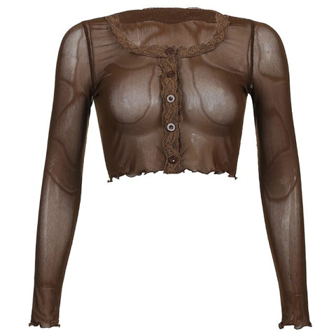 Brown Lace Patched Mesh See Through