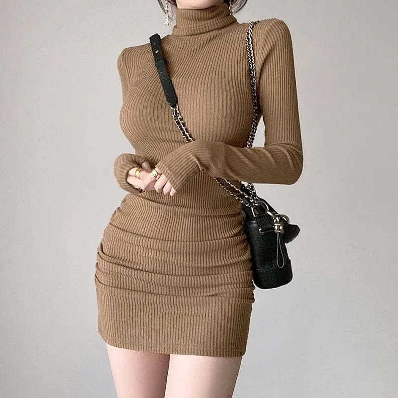 Brown Ribbed Knit Turtleneck Long Sleeve Winter Mixnorth