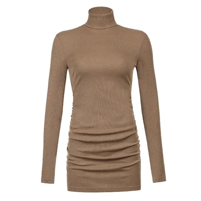Brown Ribbed Knit Turtleneck Long Sleeve Winter Mixnorth