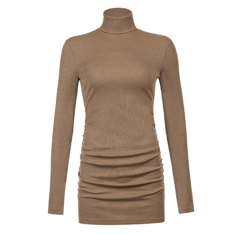 Brown Ribbed Knit Turtleneck Long Sleeve Winter
